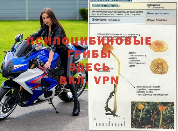 прущая мука Михайловск