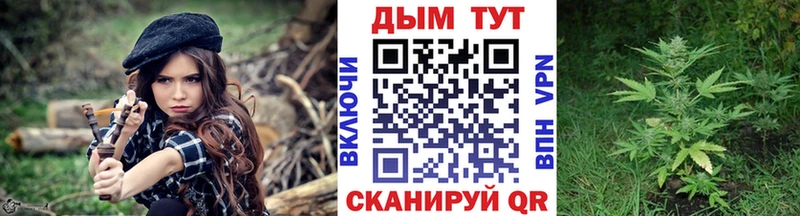 Купить  Димитровград  МАРИХУАНА планчик 